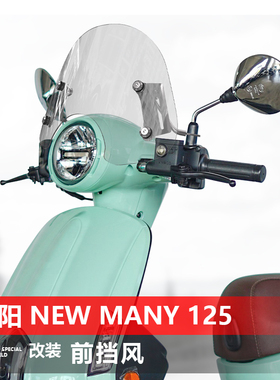 适用于光阳 New Many 125前挡风改装加高加厚风挡专用护胸挡雨板