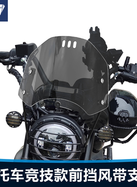 适用于豪爵tr300前挡风无极300ac凯旋幼师250本田190tr小风挡配件