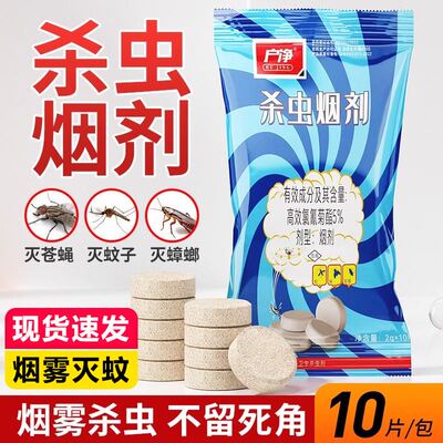 杀虫烟雾剂片杀虫剂家用厨房卫生间卧室内除蟑螂灭蚊子苍蝇蟑螂药