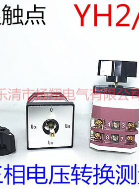 LW12-16/9.6912.2 三相电压转换测量开关LW38A LW12-16YH2/2 银点