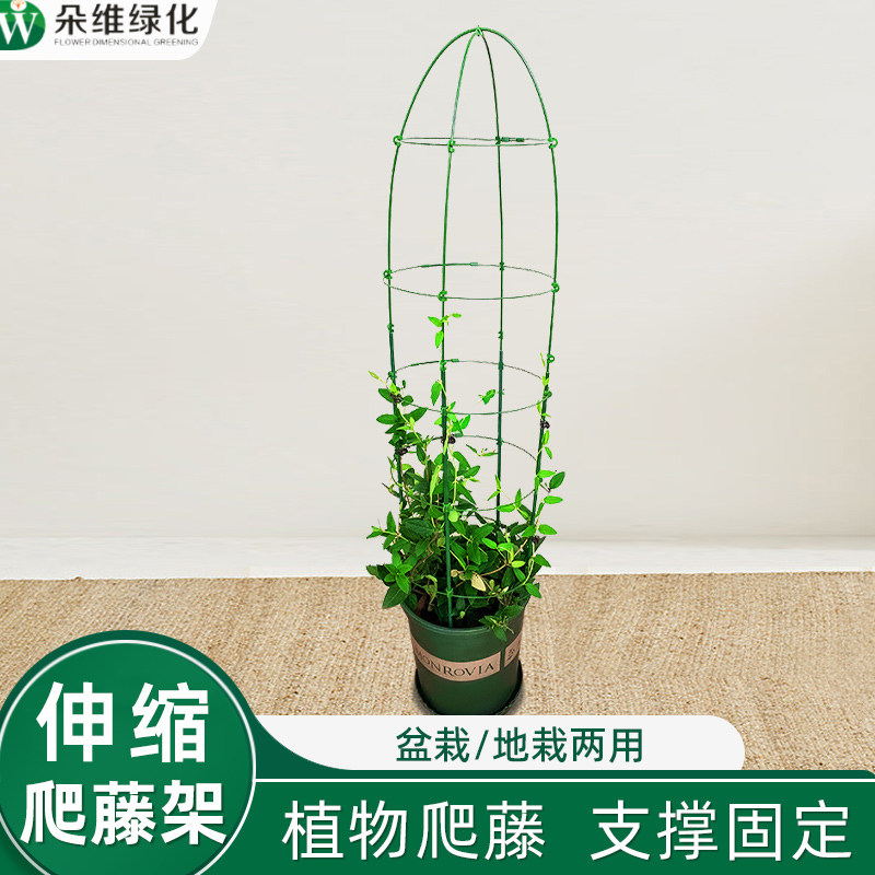 伸缩花架朵维绿化花架子高度可调