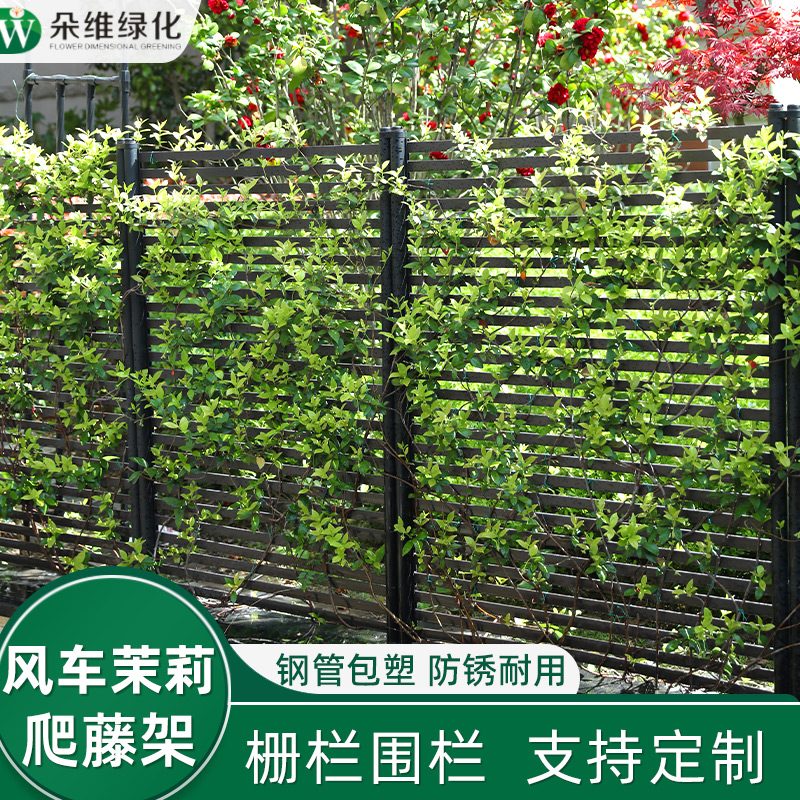 朵维绿化花架爬藤架月季爬藤架