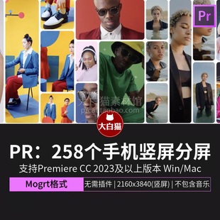 手机竖屏版本pr分屏预设合集 258个视频多画面分割特效视频素材