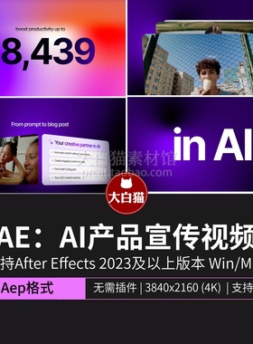 ae模板 25秒AI人工智能SaaS产品图文数据展示动画宣传视频AE模版