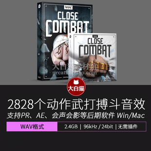 打斗音效 2828个动作电影武打片近身搏斗拳打脚踢战斗功夫音效