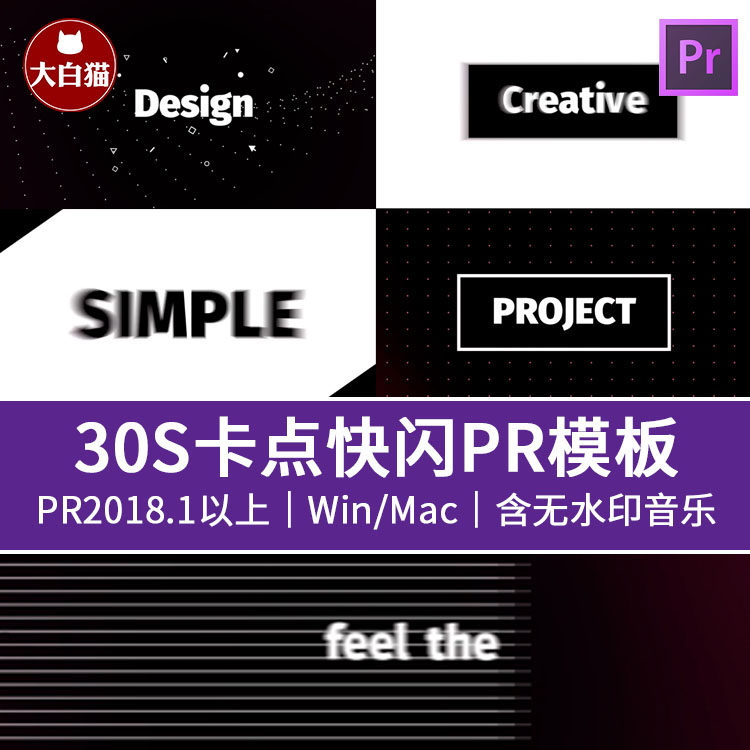 30秒文字快闪快剪模板 答辩汇报产品展示自我介绍卡点动画pr模板