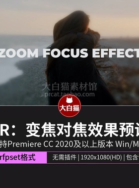PR变焦效果 5款推拉镜头放大对焦边缘模糊虚化premiere预设
