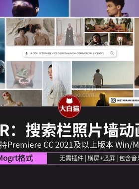 pr片头模板 14秒自媒体搜索栏个人展示作品集照片墙动画pr模板