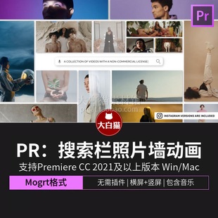 pr片头模板 14秒自媒体搜索栏个人展示作品集照片墙动画pr模板