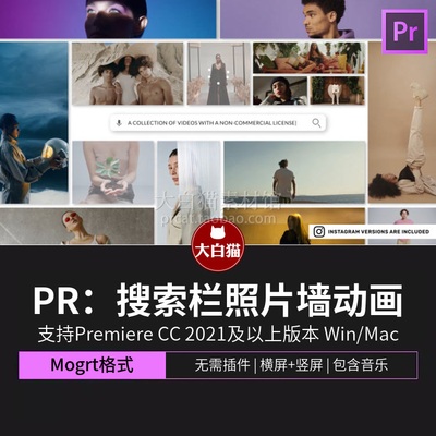 pr片头模板 14秒自媒体搜索栏个人展示作品集照片墙动画pr模板