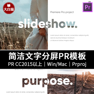 PR幻灯片模板 简洁大气创意左右分屏图片展示文字介绍PR模板