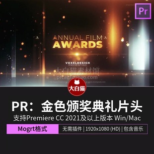 PR企业年会模板 颁奖表彰大气金色光线标题开场动画Pr模板