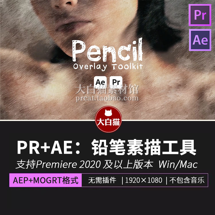 AE模板+PR预设 普通视频转换成铅笔画素描彩色手绘效果制作工具