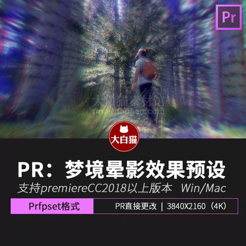 PR梦境回忆效果预设 8款闪回眩晕重影回忆画面边缘模糊Pr预设