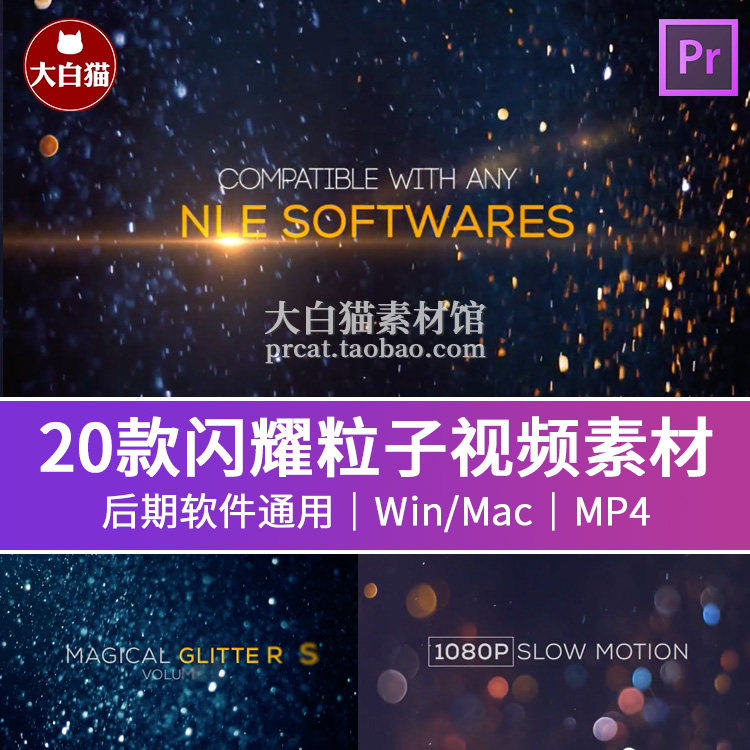 20组唯美奢华闪烁闪耀粒子婚礼晚会颁奖叠加合成视频素材mp4,商务/设计服务,设计素材/源文件,淘宝优惠券,粉丝福利购,淘宝优惠卷