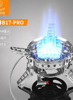 步林B17pro便携式户外炉具野炊灶春游专用野营户外防风三星猛火炉