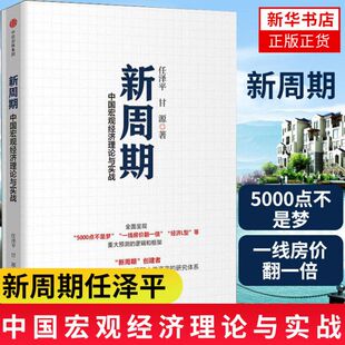 新周期 中国宏观经济理论与实战 任泽平著 研究中国宏观经济形势书籍 税收制度书籍 宏观经济公共政策中国经济金融经济学理论读物