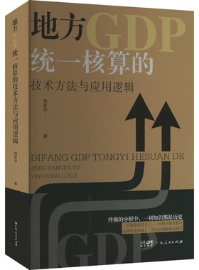 地方GDP统一核算的技术方法与应用逻辑 杨新洪 编著 广东人民出版社 新华正版书籍