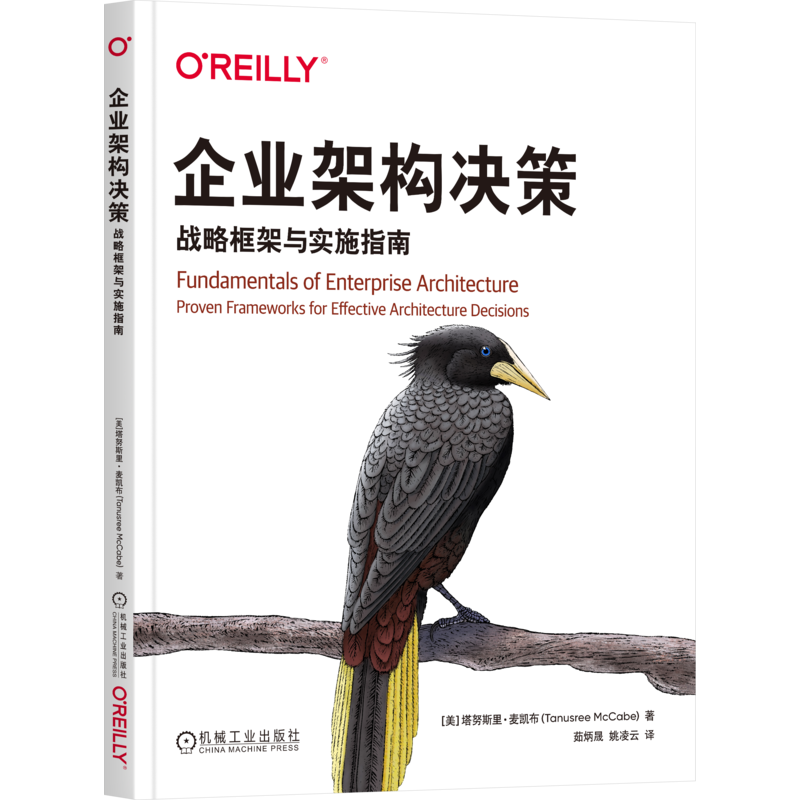 企业架构决策-战略框架与实施指南[美]塔努斯里·麦凯布（Tanusree McCabe）计算机软件工程（新）新华书店正版