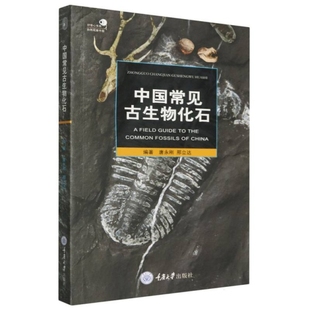 中国常见古生物化石 中国古生物化石群 如何寻找化石 化石的收藏与保管 古生物爱好者 唐永刚,邢立达 重庆大学出版社