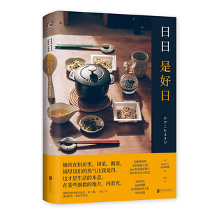对生活 生活美学艺术生活CX书籍 追求 AKIPIN安部明雄光影捕捉大师InsZM摄影博主散文集小确幸美好清新日式 日日是好日