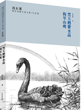 沈石溪臻奇动物小说文集生存卷《黑天鹅紫水晶》《梅里山鹰》