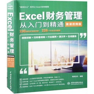 微课视频版 社新华书店正版 精英资讯办公自动化软件 中国水利水电出版 新 Excel财务管理从入门到精通