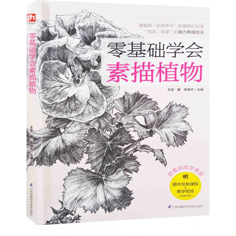 零基础学会素描植物王金著 陈晓杰主编绘画（新）江苏凤凰科学技术出版社新华书店正版