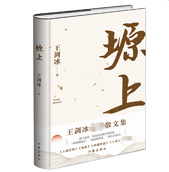 丁玲文学奖获奖作品(听书茅盾文学获奖作品)