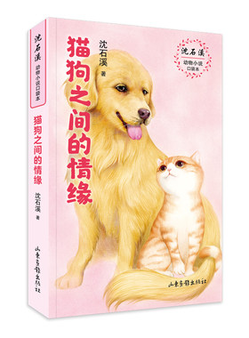 猫狗之间的情缘 中国动物小说大王沈石溪著 沈石溪动物小说口袋本系列收录斑马与橄榄枝乞丐虎等正版儿童文学小学生课外阅读书目