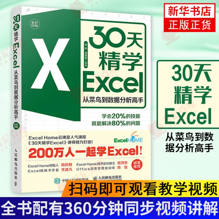 30天精学Excel从菜鸟到数据分析高手 ExcelHome表格制作教程函数公式大全财务从入门到精通处理透视表应用大全办公软件入门基础