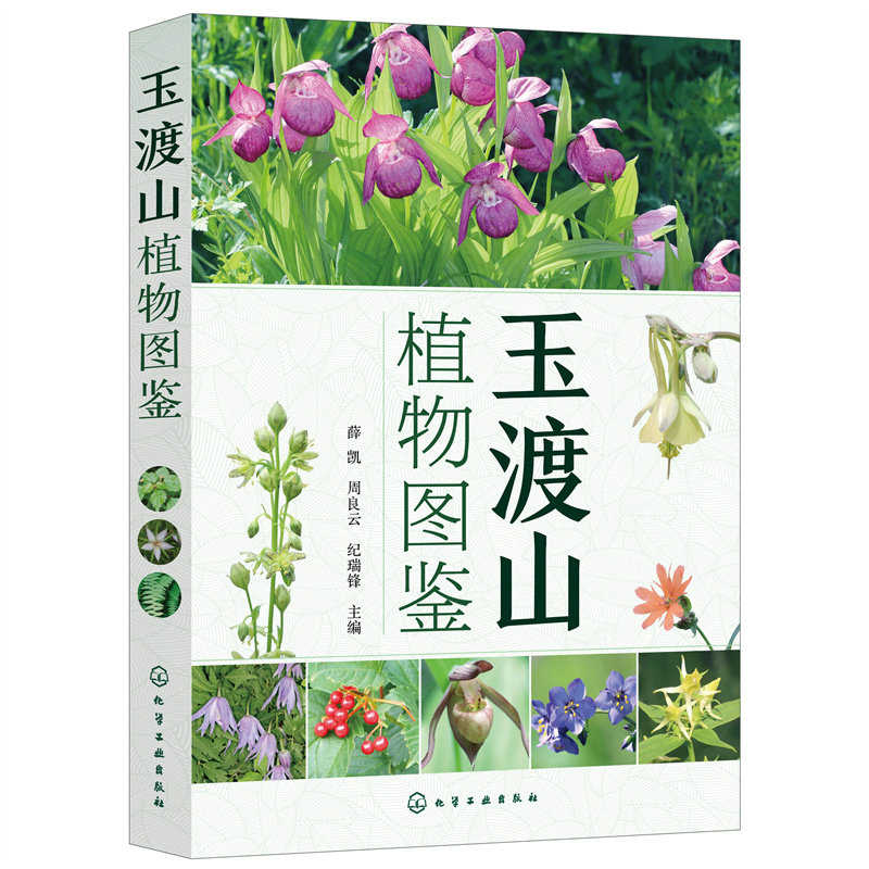玉渡山植物图鉴