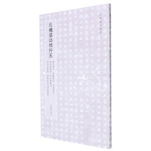 罗宗墓志.王曦墓志.高猛墓志.殷伯姜墓志.封之秉墓志.宇文悦墓志.贺收及夫人侯氏墓志-北魏墓誌精粹(五)北朝墓志精粹