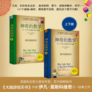 上下 数学谜题 小学初高中数学知识趣味题数学烧脑游戏头脑享受快乐数学激发大脑觉醒培养数学兴趣 数学517个开发大脑潜能 神奇