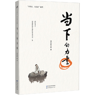 当下的力量黄国峰心理学世界图书出版有限公司新华书店正版