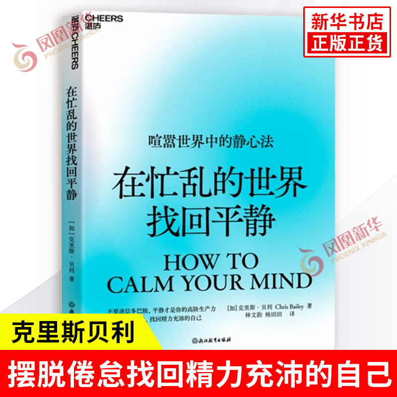 在忙乱的世界找回平静 克里斯贝利 平静才是你的高阶生产力 摆脱倦怠找回精力充沛的自己 浙江教育出版社 社会科学心理学 新华正版