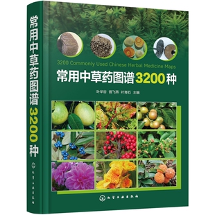 社新华书店正版 常用中草药图谱3200种叶华谷 主编药学化学工业出版 叶育石 曾飞燕