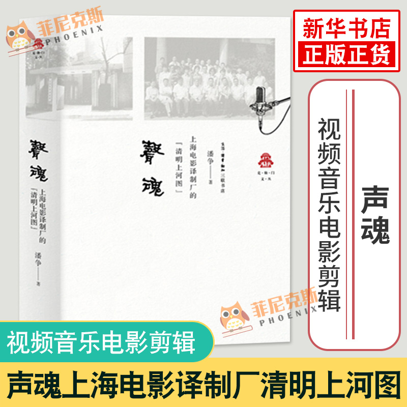 声魂 电影语言剪辑镜头的语法 拍电影摄影技艺 视频音乐电影剪辑技巧教程艺术书籍 可搭看不见的剪辑 编剧入门书籍 导演影视教程