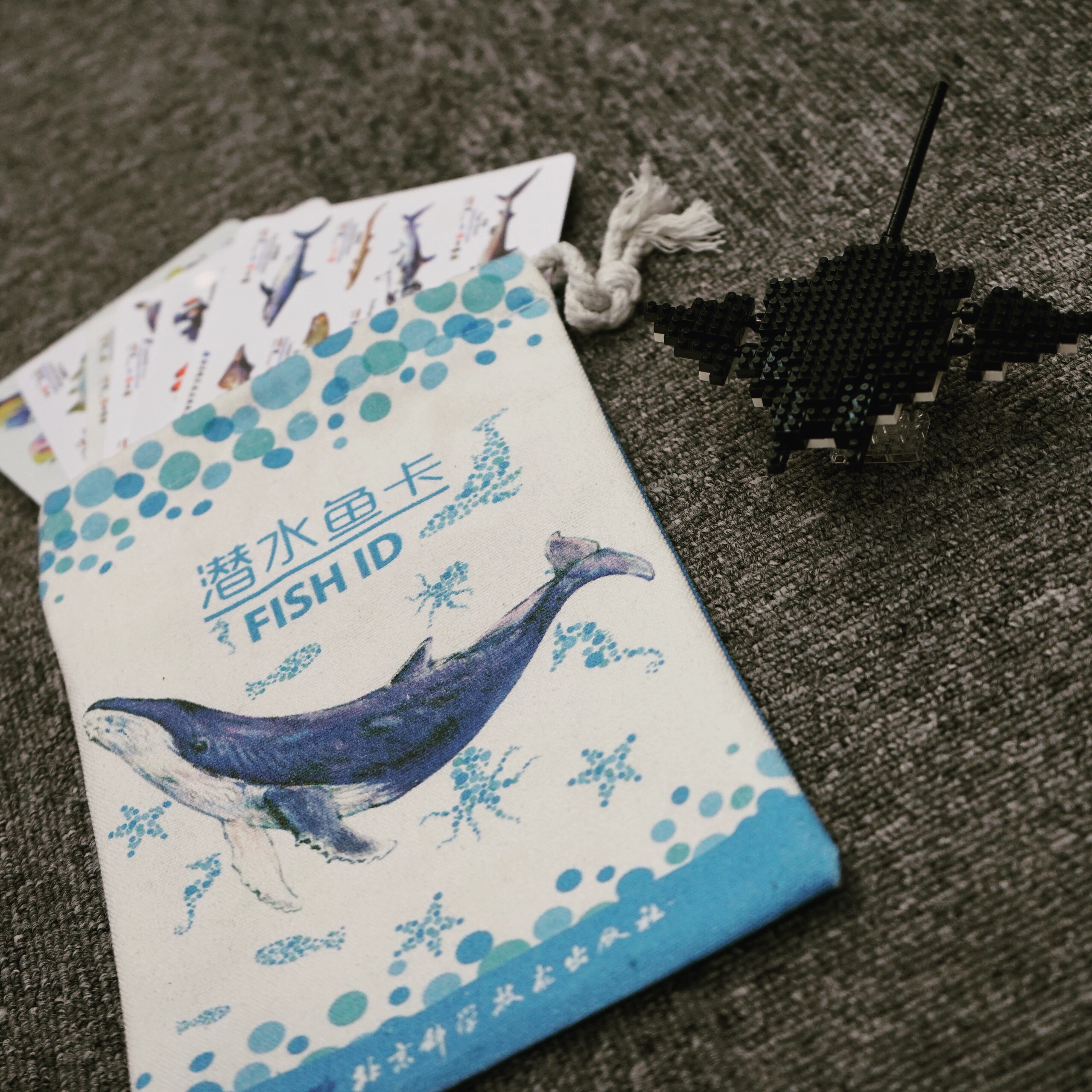 【新华书店正版书籍】潜水鱼卡 海水鱼百科 海洋海底生物彩色图鉴卡片 潜水时辨别海底生物的对照卡片 潜水爱好者入门书籍 正版