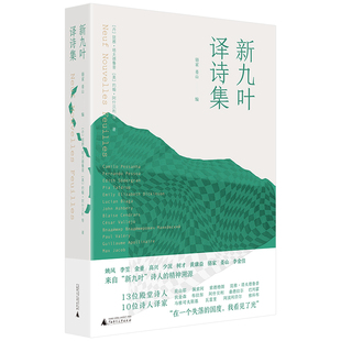 新九叶.译诗集(丹)琵雅.塔夫德鲁普外国诗歌广西师范大学出版社新华书店正版