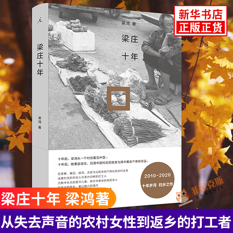 梁庄十年 梁鸿著 从失去声音的农村女性到返乡的打工者 展现急速变化时代下中国村庄的变迁 理想国 纪实文学现当代散文随笔 正版 书籍/杂志/报纸 纪实/报告文学 原图主图