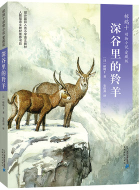 彩色升级版 椋鸠十动物小说爱藏本5 深谷里的羚羊 11-14岁小学生课外阅读书籍插画本日本作家童话故事文学小说 青少年儿童书