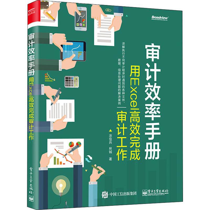 审计效率手册:用Excel高效完成审计工作涂佳兵, 林铖著办公自动化软件(新)电子工业出版社新华书店正版