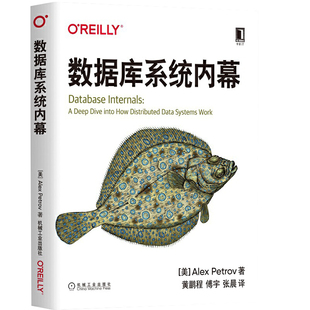 数据库系统内幕 计算机数据库存储与管理 存储引擎 数据库系统核心组件 数据库管理书 计算机专业科技 应用程序数据库 正版正货