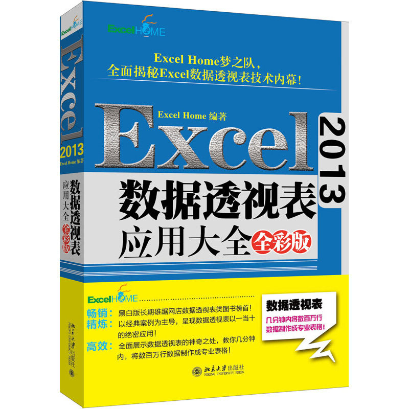 Excel 2013数据透视表应用大全(全彩版)