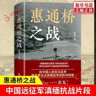 惠通桥之战 余戈 著 1942年中国远征军与日军围绕惠通桥展开的攻守较量 关乎着民族抗战的命运 历史 天地出版社 新华书店正版书籍