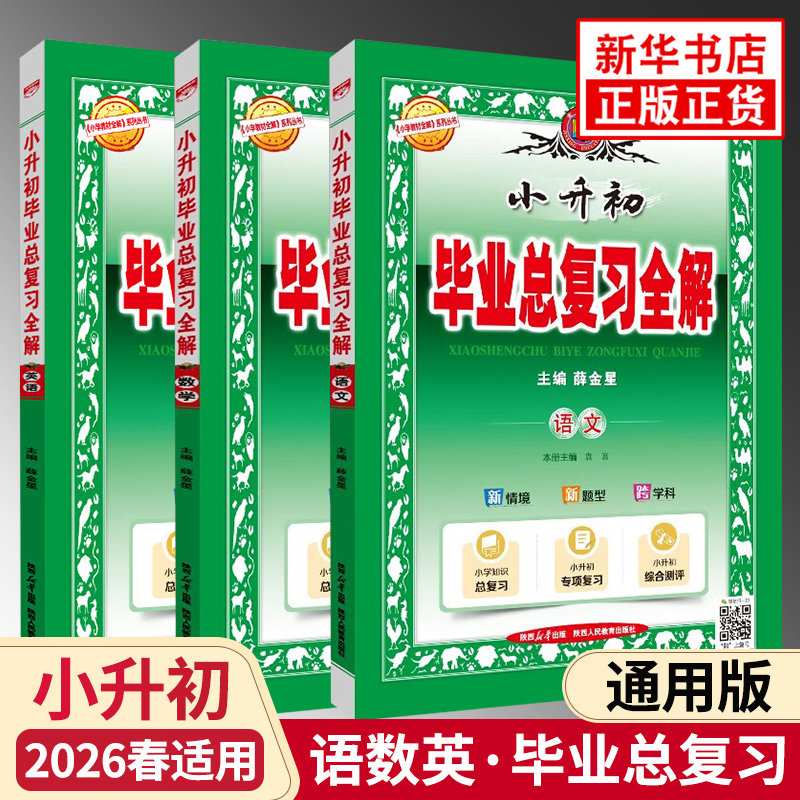 2026春 小升初毕业总复习全解 语文数学英语 套装3册 金星教育 6年级下册小学升初中考试 小学教辅小学毕业复习资料 新华书店正版