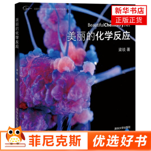 美丽的化学反应 梁琰著 化学工业正版书籍