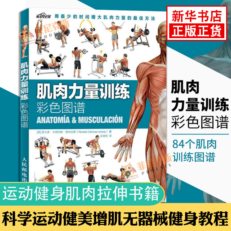 肌肉力量训练彩色图谱拉伸训练书体育运动健身书籍练肌肉力量训练全书减脂增肌健身教练书籍健美书 新华书店正版书籍