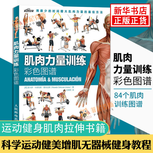 肌肉力量训练彩色图谱拉伸训练书体育运动健身书籍练肌肉力量训练全书减脂增肌健身教练书籍健美书 新华书店正版书籍 - 封面